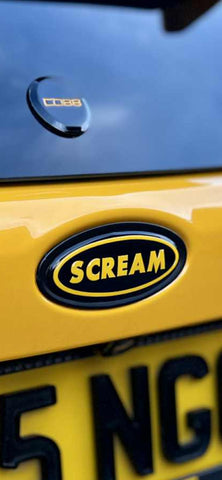 FORD 3D single Gel Badge (Rear badge Only)