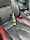 Car air sanitizer